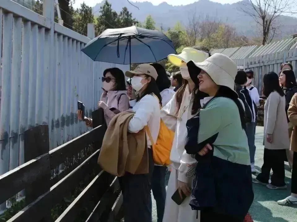 三八活动04.jpg